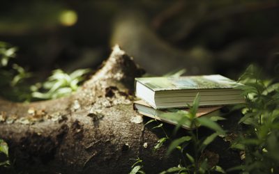 My Top 5 Ethical Promotional Business Suppliers