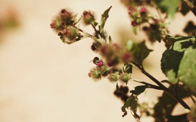 How much does a Brand Identity Package Cost?