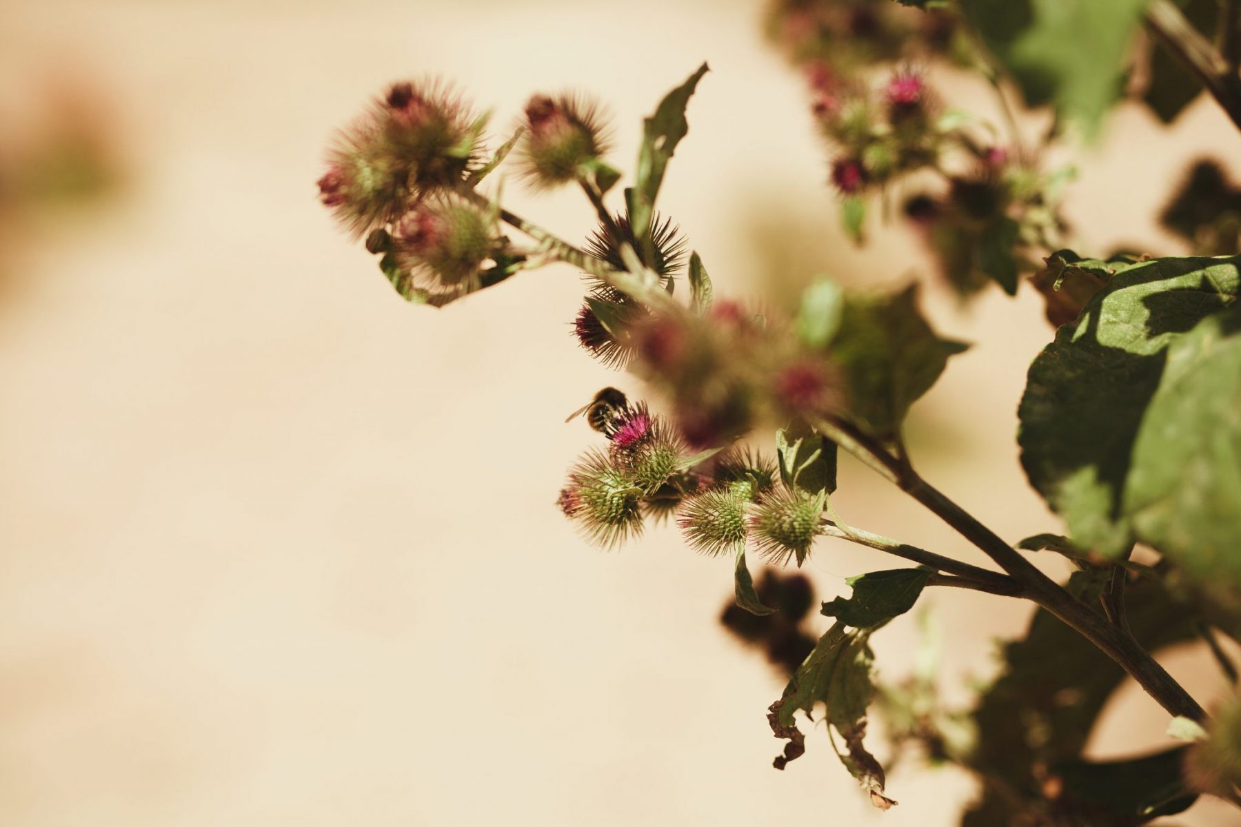 Branding and brand identity tips for new business