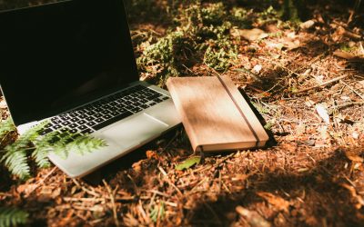 Founding an Ethical Design Agency