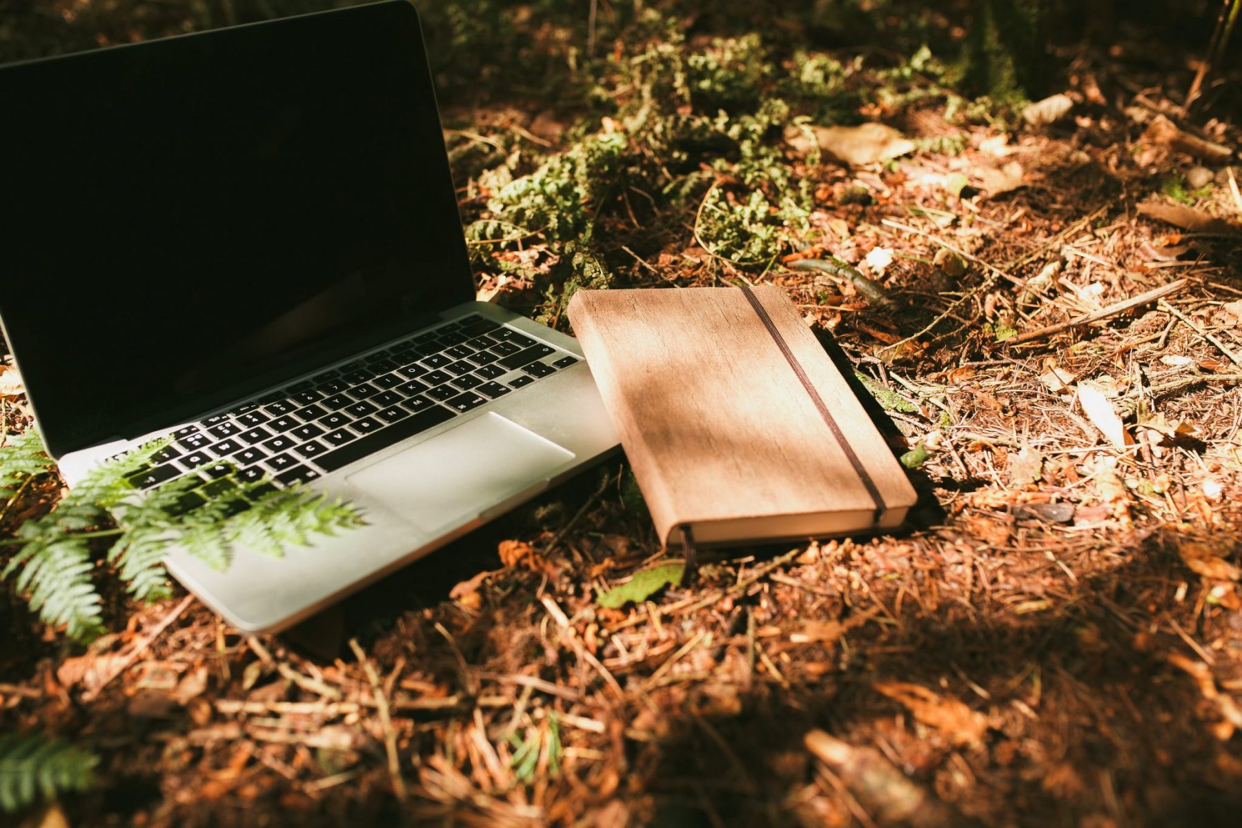 Branding Packages for small businesses UK