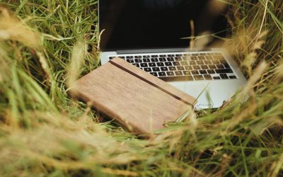 DIY Design Tips and Branding Advice