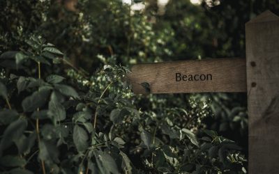 My 2019 Design & Business Predictions