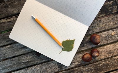 How to Create a Business Brand Mood Board for your business