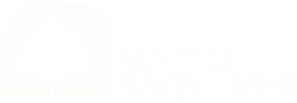 City of trees ethical branding creative agency