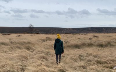 Coping with Business Overwhelm as a Highly Sensitive Person