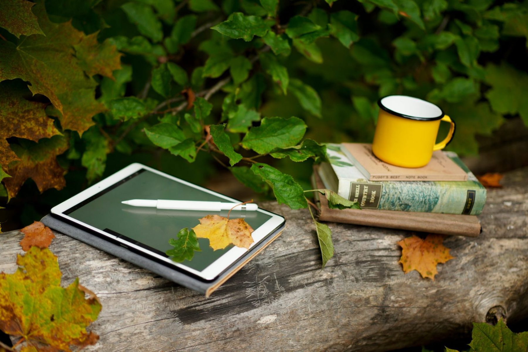 leaves business items