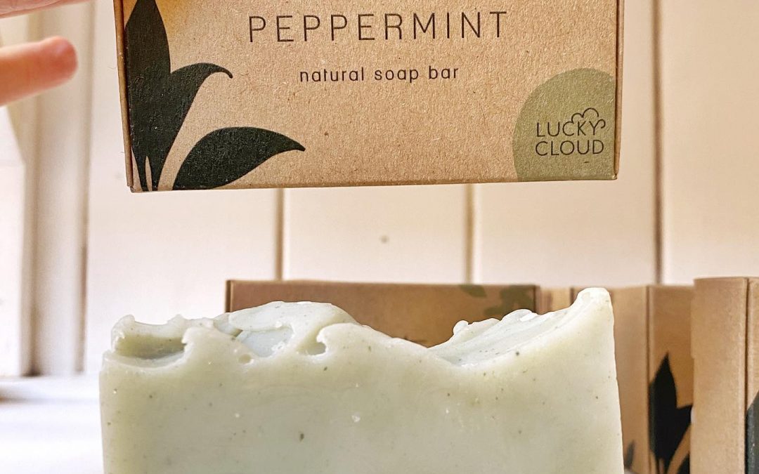 Exploring the Benefits of Using Biomimicry in Design