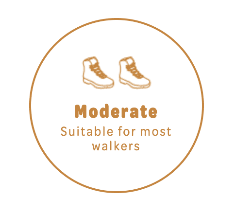 branding-for-adventure-outdoor Adventure Outdoor Nature Walking Branding Website