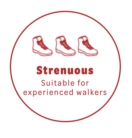 outdoor-walking-branding