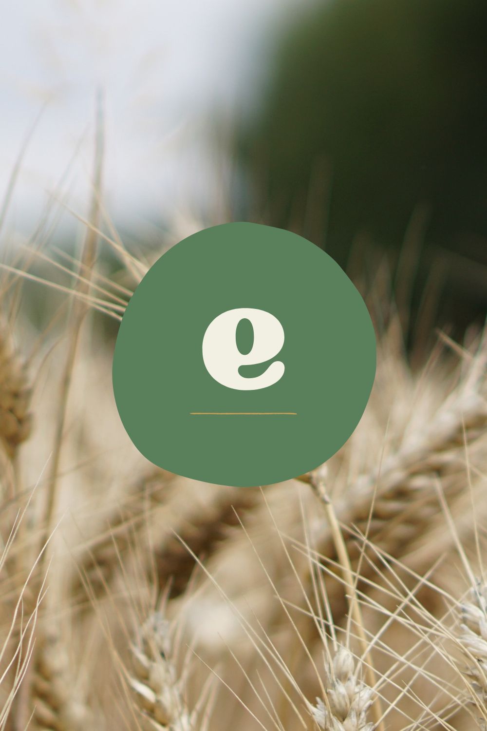 Eco-Friendly Sustainable Logo Design Eco-Friendly Sustainable Logo Design