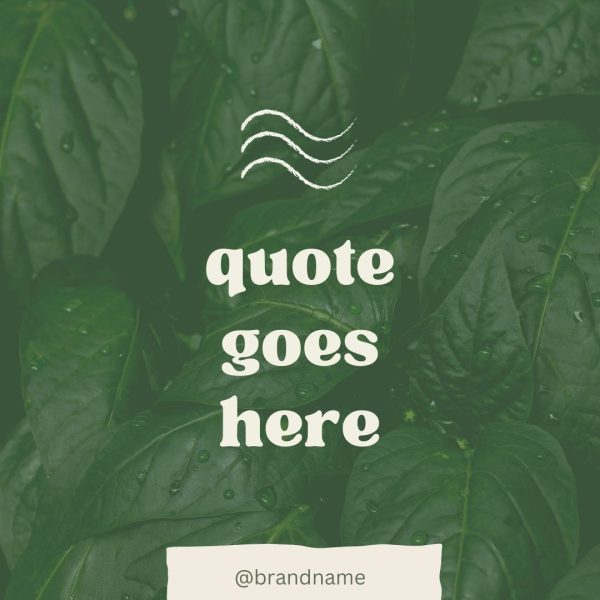 Eco Friendly Social Templates - Image 7