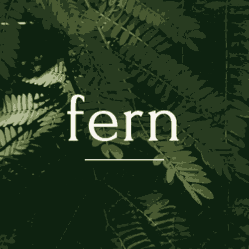 Wellness Holistic Logo