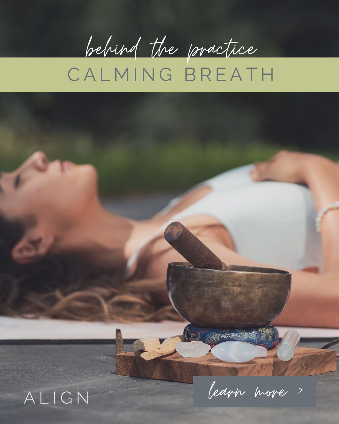 Woodland Forest Social Media Canva Templates